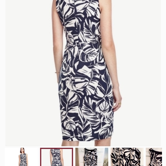 Sleeveless Navy & White Sheath Dress - Picture 6 of 8